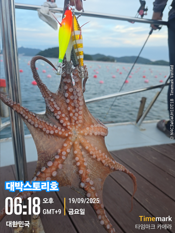 2025-09-19 06.18.38_대한민국_(대박스토리호).jpg