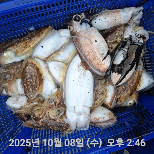 a8a4f2d424bd52dce0c8295d518a2c85.jpg