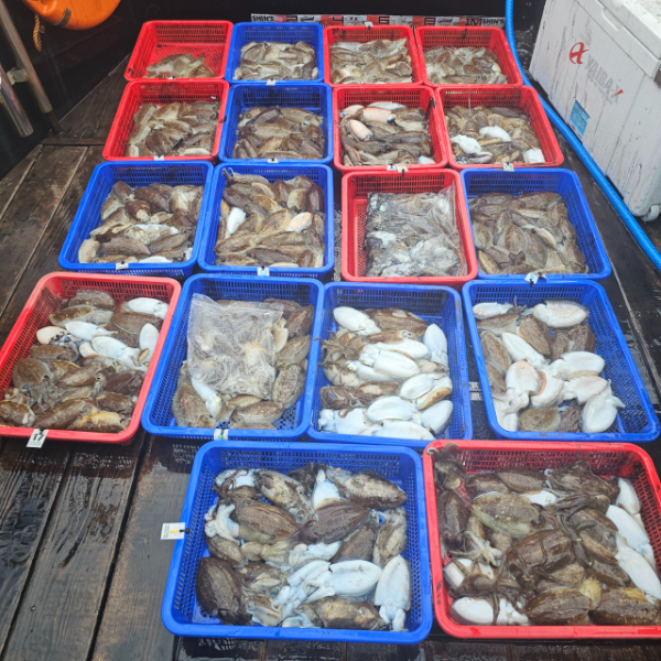 마검포 대한호(VIP)_사진_20251012_3.jpg