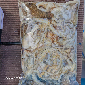 인천쭈꾸미낚시 (13).jpg