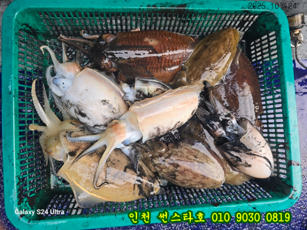 10월24 썬 (15).jpg