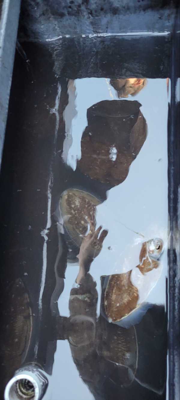 예지퀸호 농어외수질&어초낚시 경기인천권_사진_20251026_7.jpg