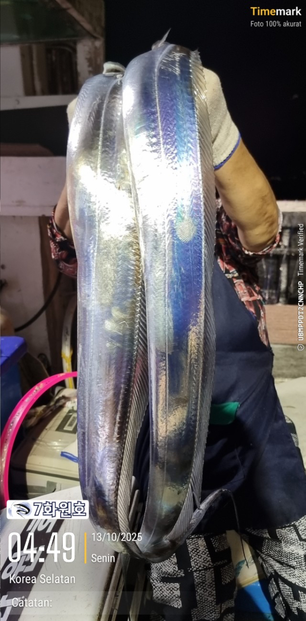제주갈치낚시 화원호_사진_20251013_4.jpg