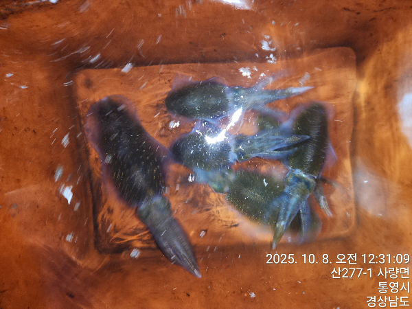 ab9782ff20d2621edda2df3d90512e0a.jpeg