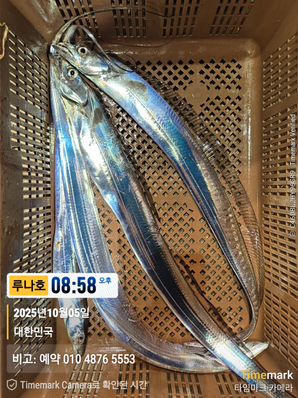 2025-10-05 08.58.55_대한민국_(제목-루나호)_(비고-예약 010 4876 5553).jpg