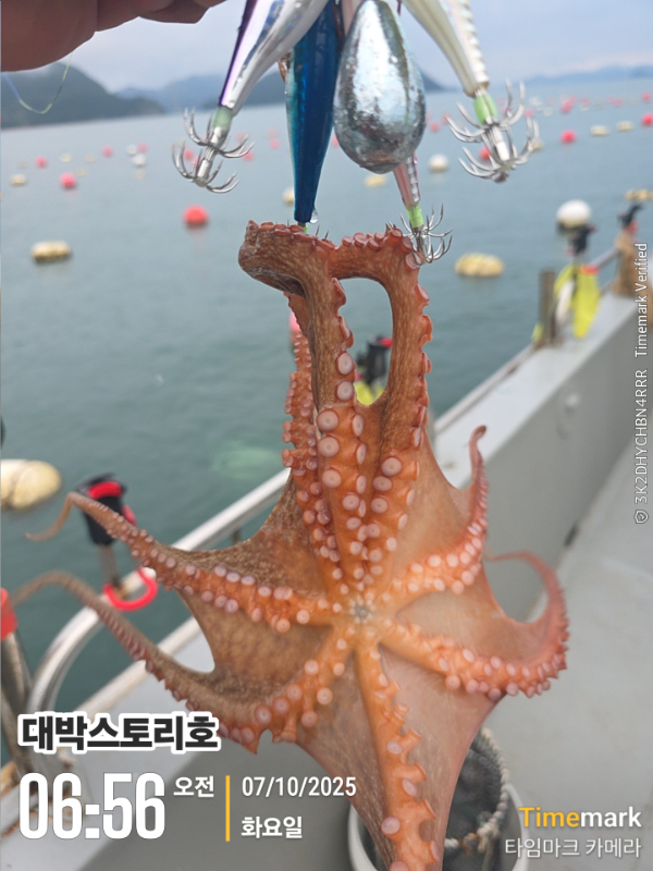 2025-10-07 06.56.52__(대박스토리호).jpg