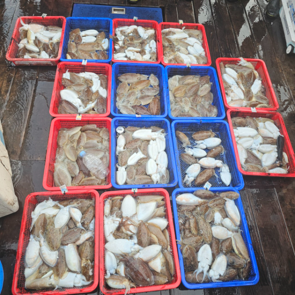 마검포 대한호(VIP)_사진_20251031_4.jpg