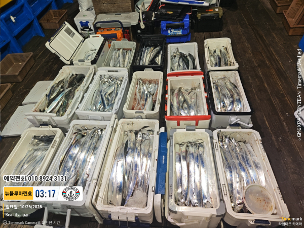 2025-10-26 03.17.24_Japan_(제목-뉴블루마린호)_(예약전화 010 8924 3131).jpg