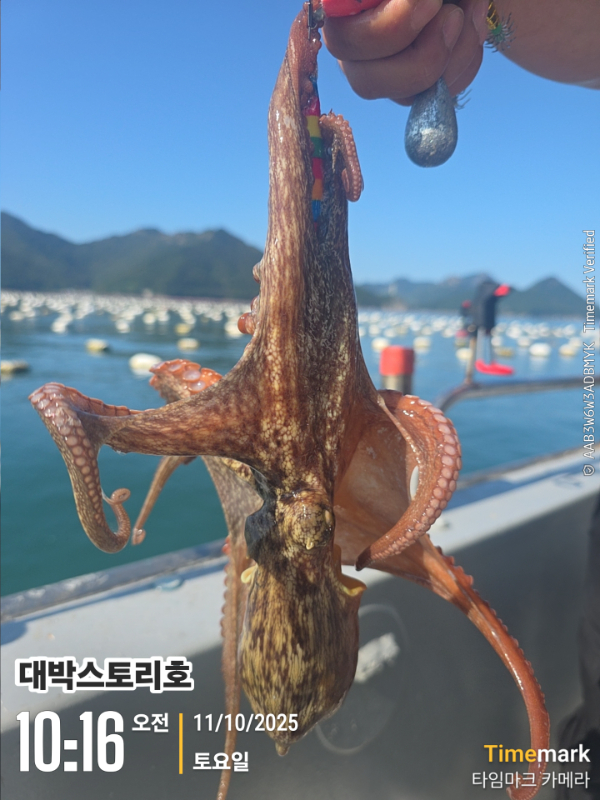 2025-10-11 10.16.42__(대박스토리호).jpg