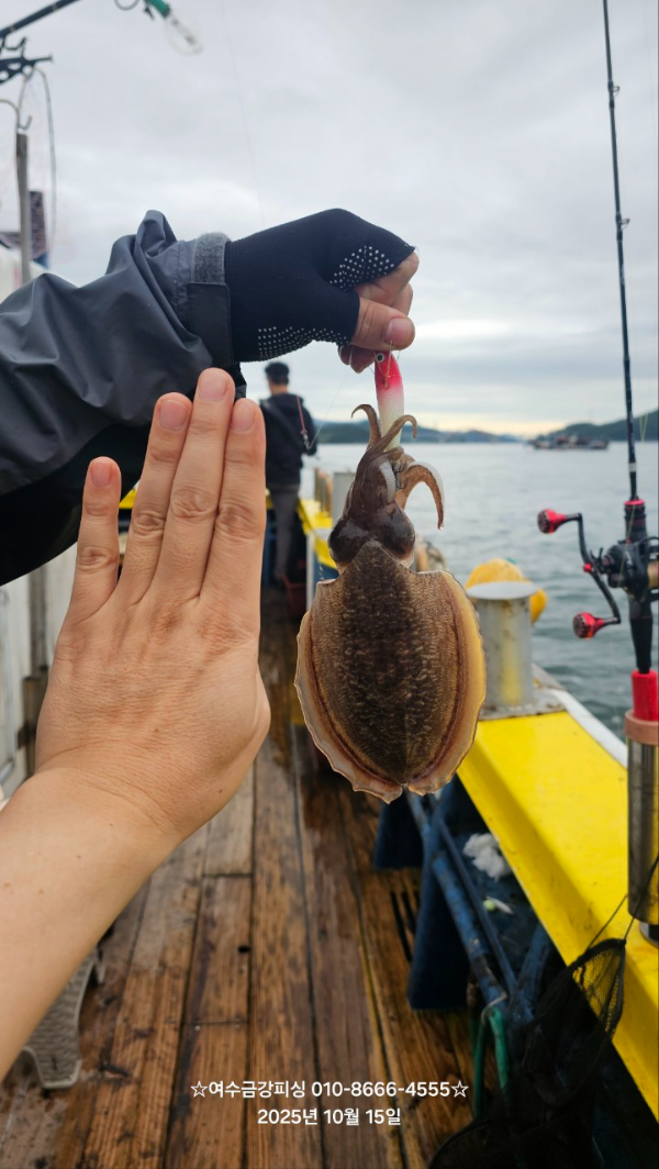 여수금강피싱_사진_20251015_16.jpg
