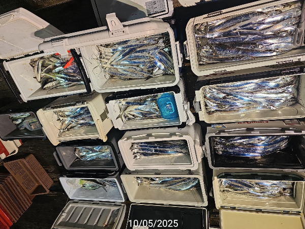 803D5175-F158-4E3B-917C-752FAEBEF04A.jpeg