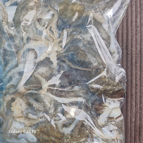 인천쭈꾸미낚시 (13).jpg