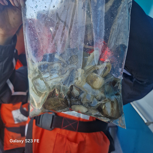 인천쭈꾸미낚시 (7).jpg