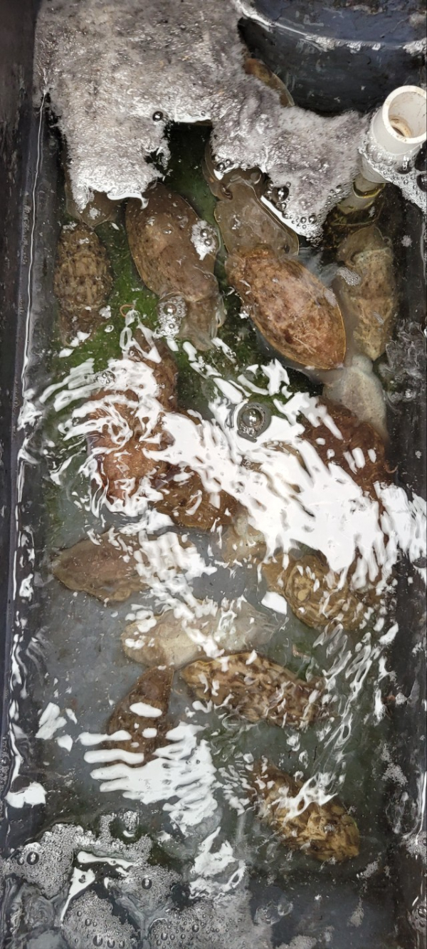 예지퀸호 농어외수질&어초낚시 경기인천권_사진_20251004_18.jpg