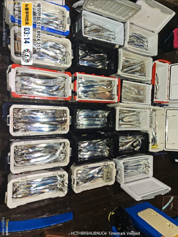 2025-10-03 03.14.55_Japan_(제목-뉴블루마린호)_(예약전화 010 8924 3131).jpg