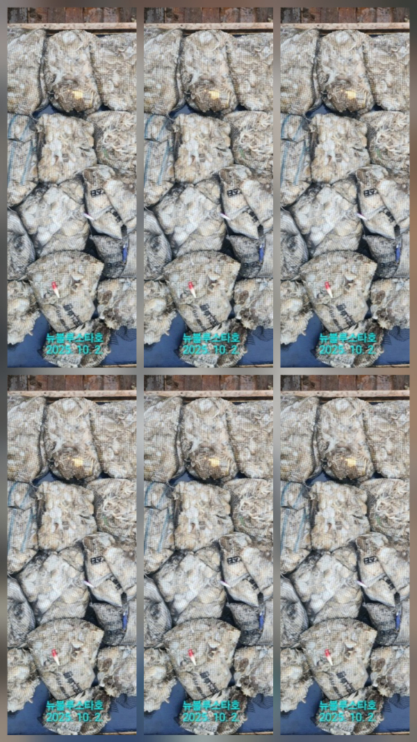 1000027539.jpg