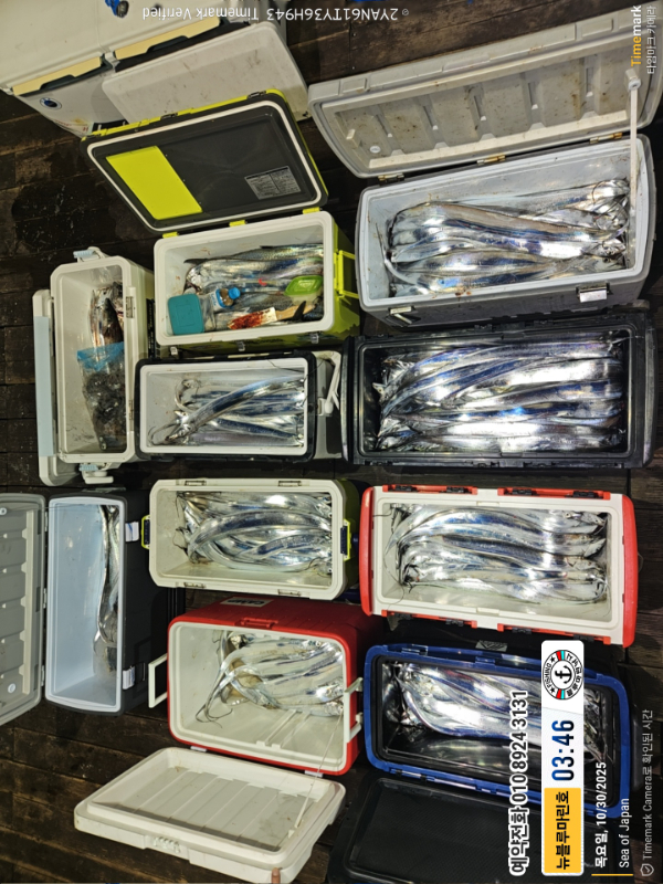 2025-10-30 03.46.59(1)_Japan_(제목-뉴블루마린호)_(예약전화 010 8924 3131).jpg