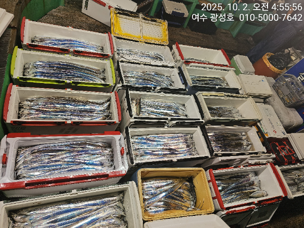 KakaoTalk_20251002_144303273_16.jpg