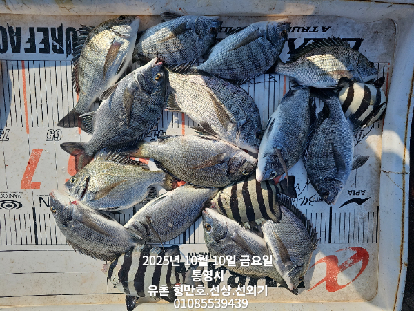 af4692090675b6194286375e1969bb6b.jpg