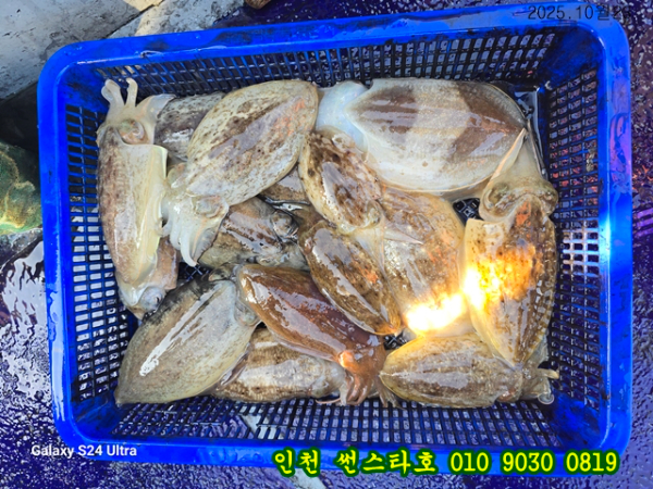 10월23 썬 (15).jpg