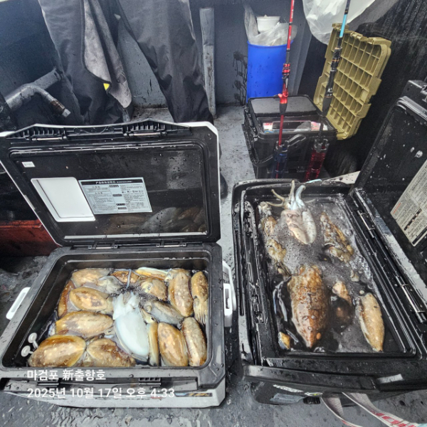 ꫛꫀꪝ✧‧˚ 태안 마검포 新출항호 .• _˚☀₊_사진_20251017_4.jpg