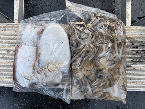 인천쭈꾸미낚시 (9).jpg