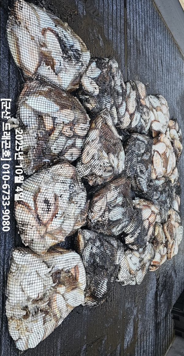 b0dcf461b4e837777646e9301a90f4f6.jpg