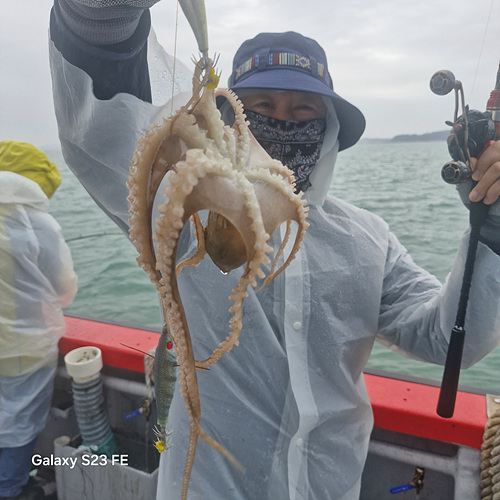 인천쭈꾸미낚시 (15).jpg
