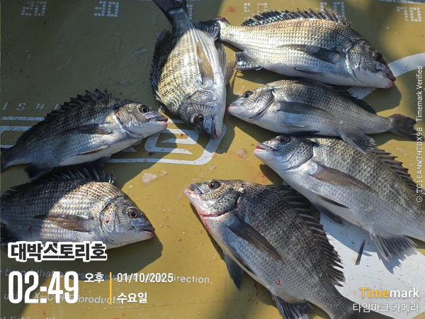 2025-10-01 02.49.47__(대박스토리호).jpg