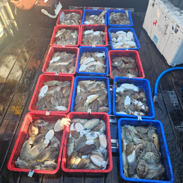 마검포 대한호(VIP)_사진_20251028_2.jpg