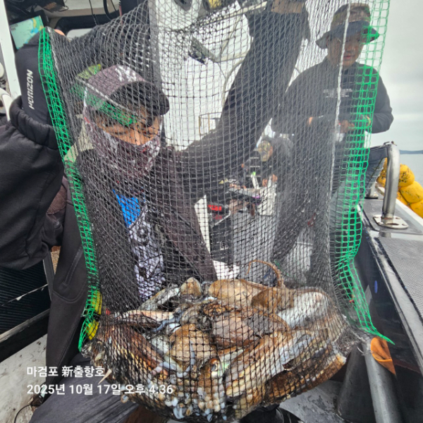 ꫛꫀꪝ✧‧˚ 태안 마검포 新출항호 .• _˚☀₊_사진_20251017_16.jpg