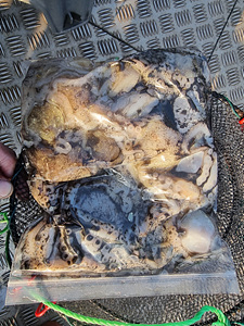 인천쭈꾸미낚시 (29).jpg