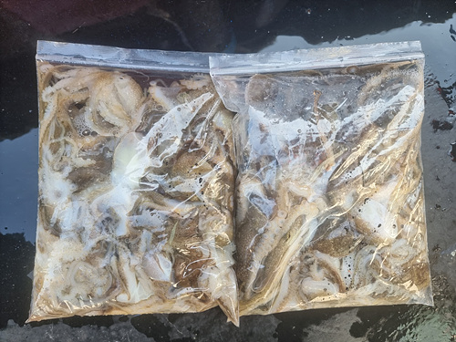 인천쭈꾸미낚시 (3).jpg