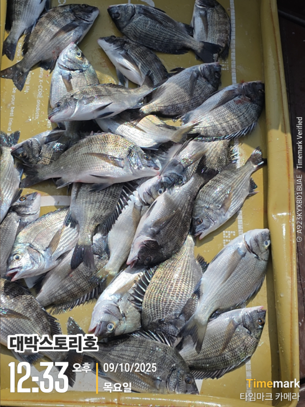 2025-10-09 12.33.16__(대박스토리호).jpg