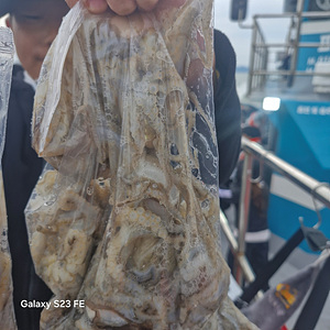 인천쭈꾸미낚시 (18).jpg