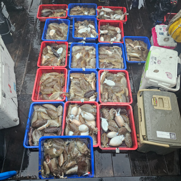 마검포 대한호(VIP)_사진_20251026_10.jpg