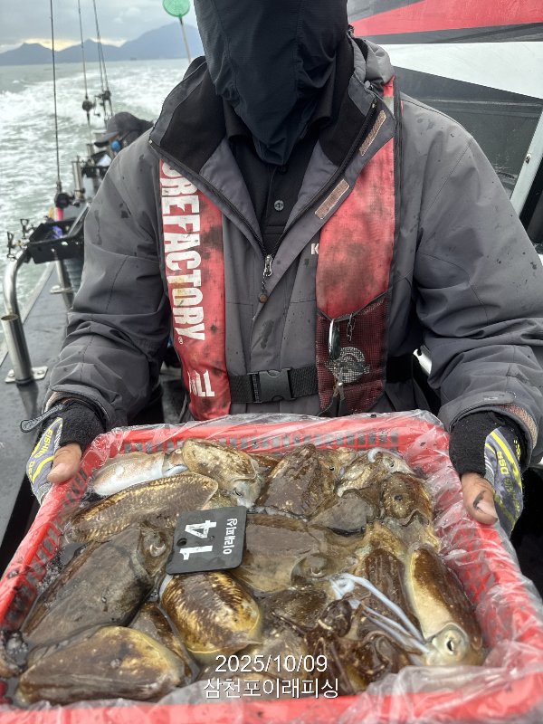 삼천포 이래피싱_01114.jpeg