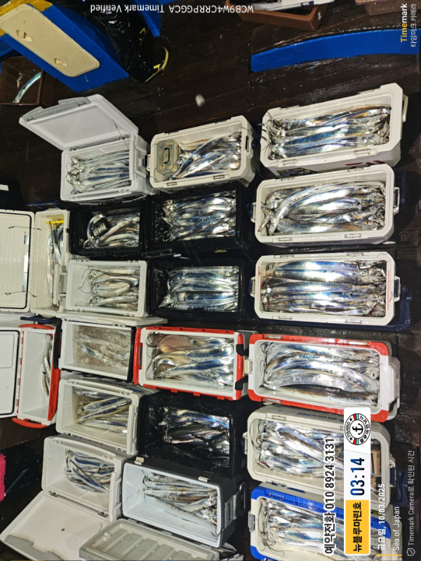 2025-10-03 03.14.54(1)_Japan_(제목-뉴블루마린호)_(예약전화 010 8924 3131).jpg