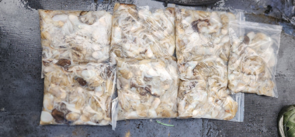 예지퀸호 농어외수질&어초낚시 경기인천권_사진_20251002_8.jpg