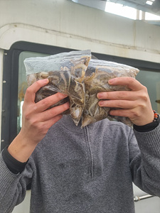 인천쭈꾸미낚시 (15).jpg