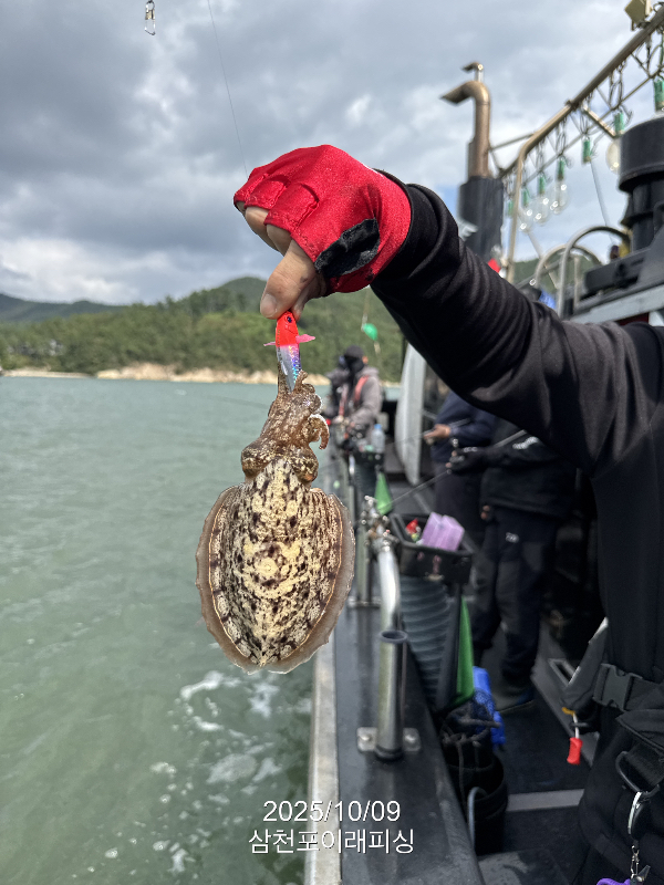 삼천포 이래피싱_01104.jpeg