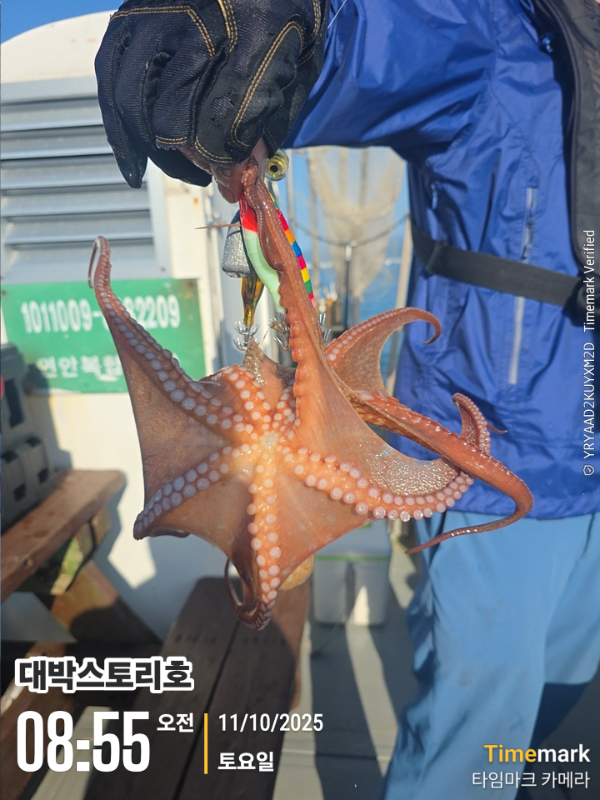 2025-10-11 08.55.55__(대박스토리호).jpg