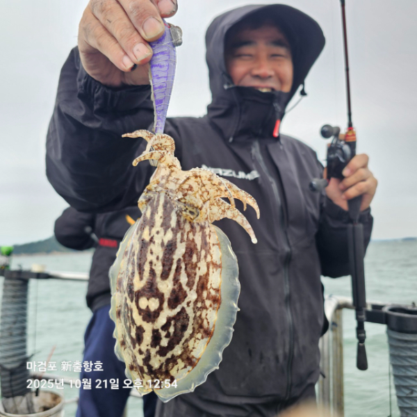 ꫛꫀꪝ✧‧˚ 태안 마검포 新출항호 .• _˚☀₊_사진_20251021_6.jpg