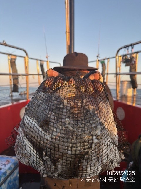 군산 선상낚시, 바다낚시 출조 전문 ☆서군산낚시☆_사진_20251028_5.jpg