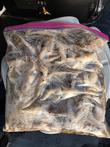 인천쭈꾸미조황 (8).jpg