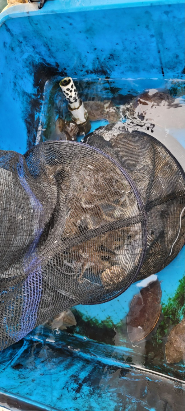 예지퀸호 농어외수질&어초낚시 경기인천권_사진_20251018_9.jpg