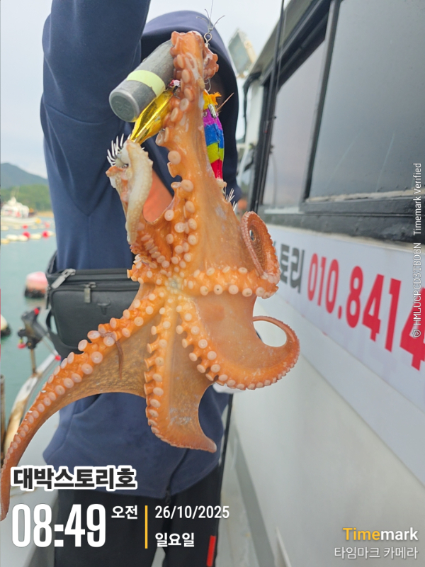 2025-10-26 08.49.01__(대박스토리호).jpg