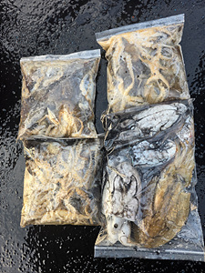 인천쭈꾸미조황 (3).jpg