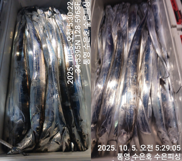 1759613536695-tile.jpg