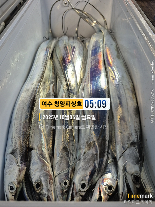 2025-10-06 05.09.19__(제목-여수 청양피싱호).jpg
